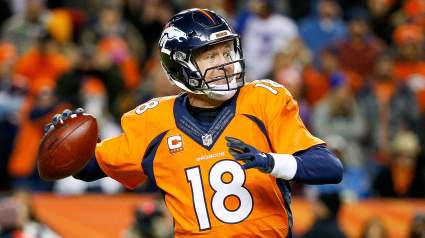 NFL Divisional Round 2016: Odds & Predictions