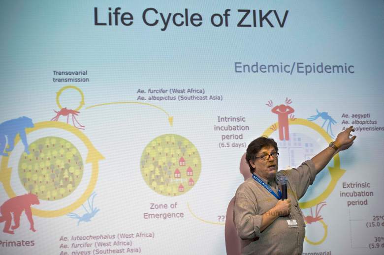 Paolo Zanotto, researcher at the Institute of Biomedical Sciences of the University of Sao Paulo, speaks during a press conference at the Institute of Biomedical Sciences of the Sao Paulo University, on January 8, 2016 in Sao Paulo, Brazil. Researchers at the Pasteur Institute in Dakar, Senegal are in Brazil to train local researchers to combat the Zika virus epidemic. AFP PHOTO / NELSON ALMEIDA / AFP / NELSON ALMEIDA (Photo credit should read NELSON ALMEIDA/AFP/Getty Images)