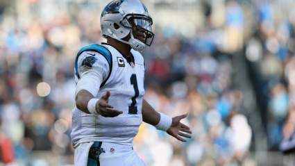 Cardinals vs. Panthers: Point Spread, Total & Prediction