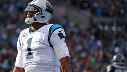 Cardinals-Panthers Pick: Predictions From the Experts