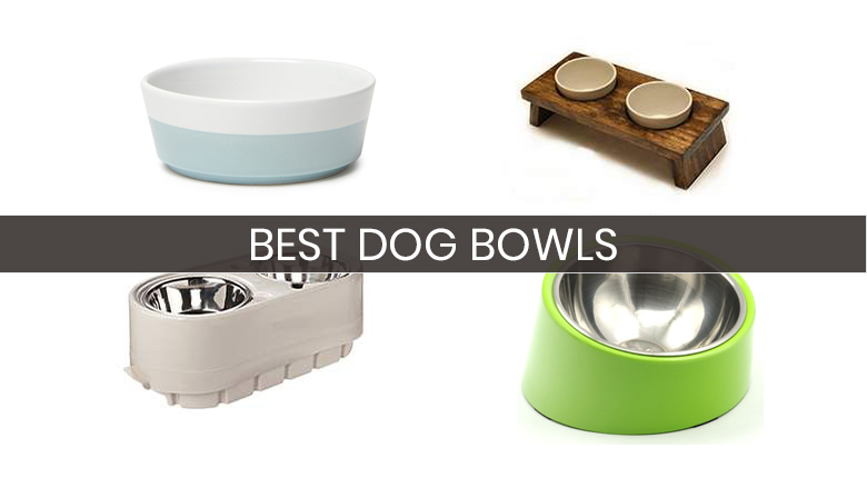 best dog bowls