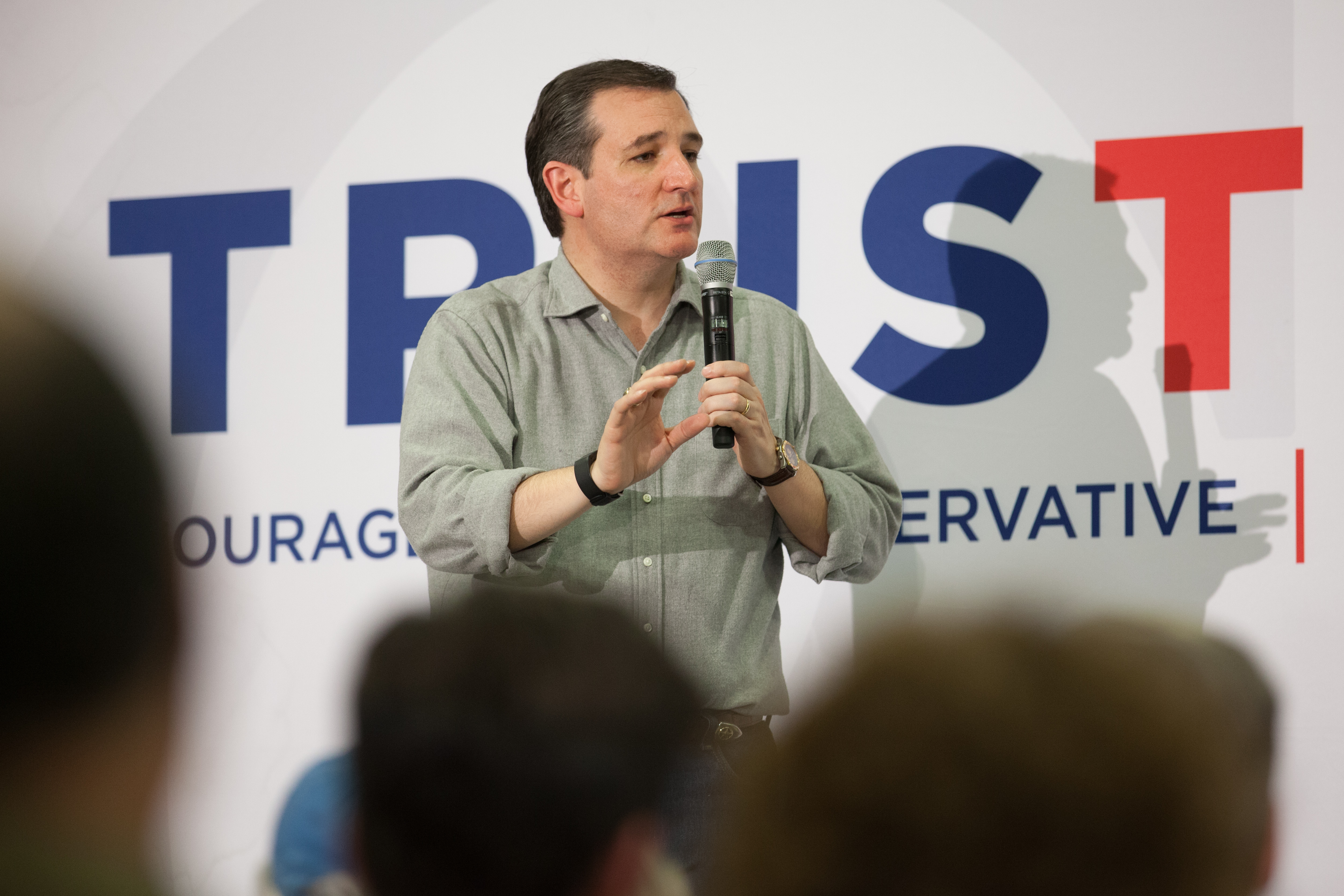 Ted Cruz polls, Ted Cruz New Hampshire, Ted Cruz South Carolina
