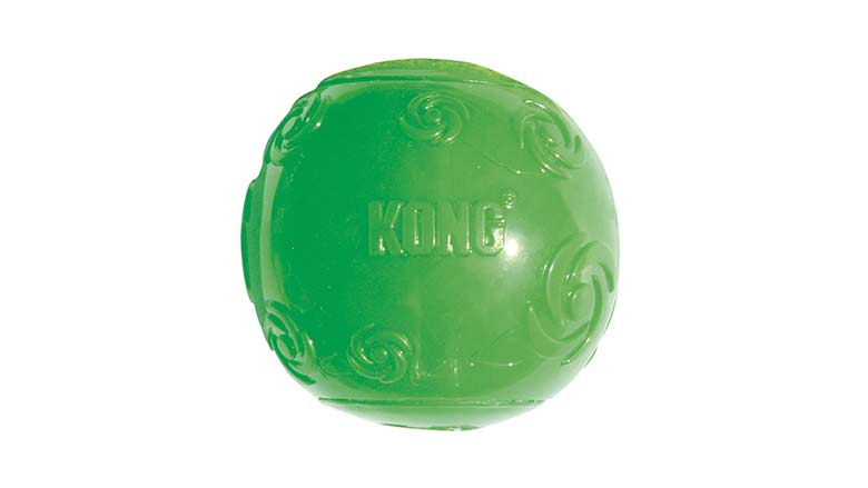 kong toys for dogs