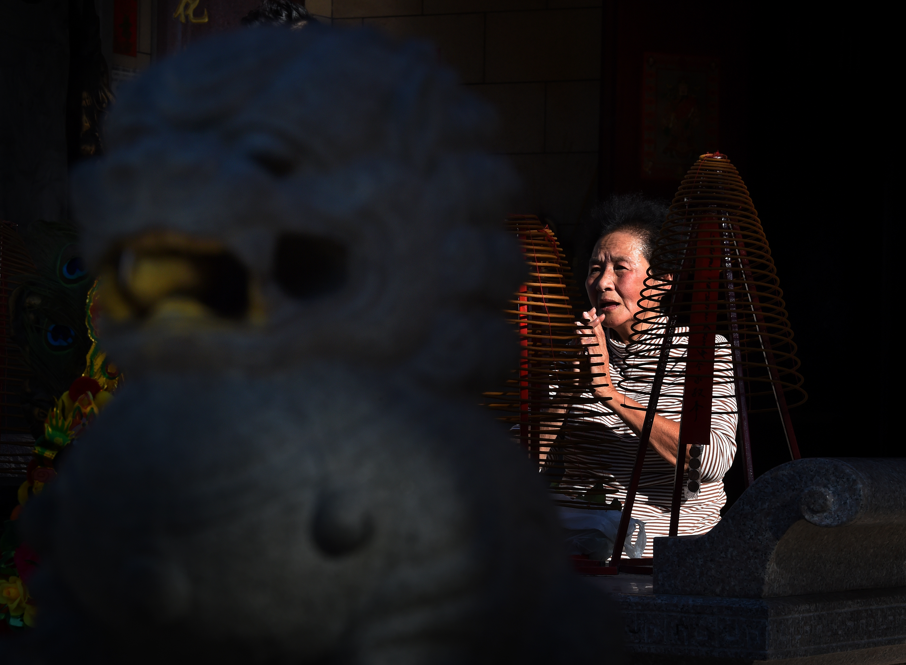 A woman prays at the Thien Hau Temple on the eve of the Lunar New Year which will be the Year of the Monkey, in Los Angeles, California on February 7, 2016. (Getty)