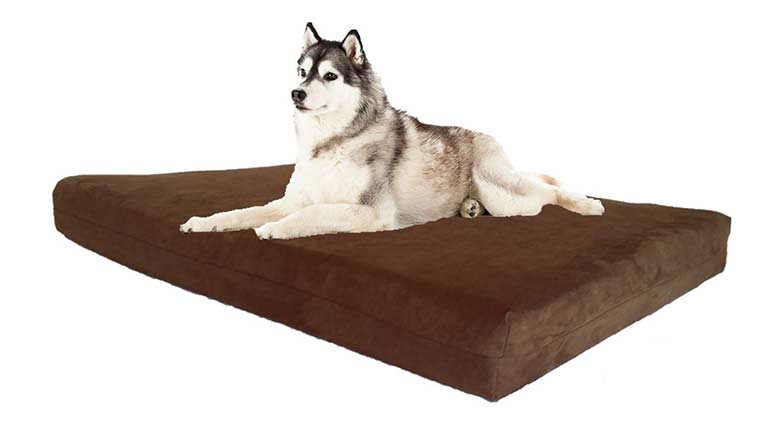 puppy beds for sale