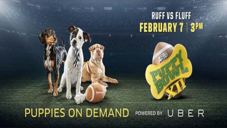 Puppy Bowl Online Streaming