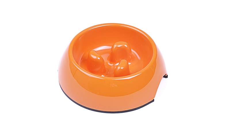 superdesign slow feeder dog bowl