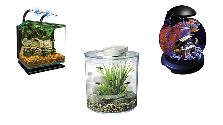 11 Best Fish Tank Kits: Your Buyer’s Guide (2020) | Heavy.com