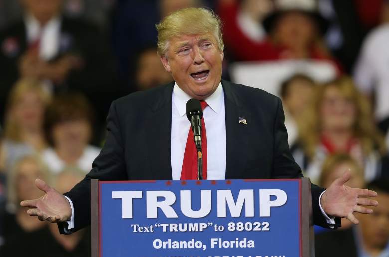 Donald Trump, florida polls, polling numbers, favorite