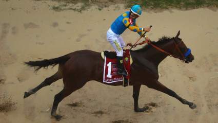 When are the Preakness & Belmont Stakes 2016?