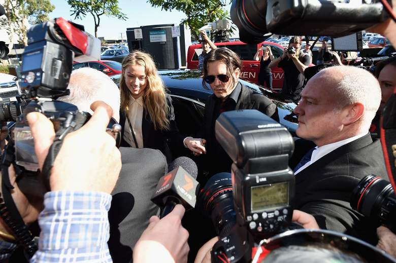 Johnny Depp Amber Heard, Johnny Depp dogs, Johnny Depp Australia