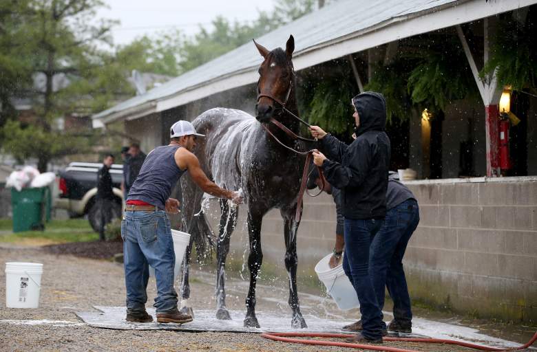 Exaggerator, Kentucky Derby weather, rain, muddy, horses