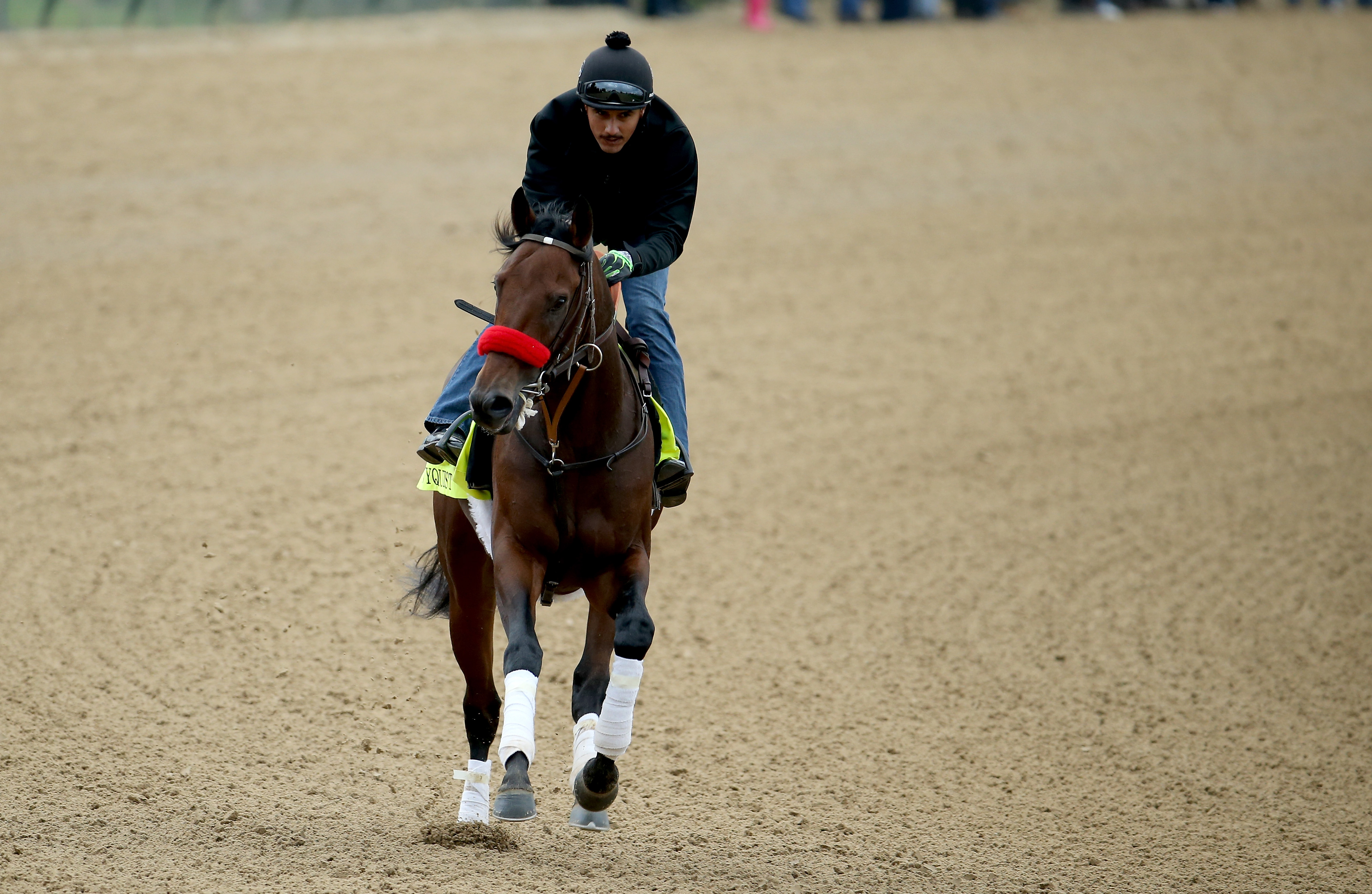 Kentucky Derby 16 Odds Prediction Trifecta Pick Heavy Com