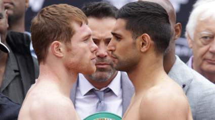 Who Won the Canelo vs. Khan Fight?