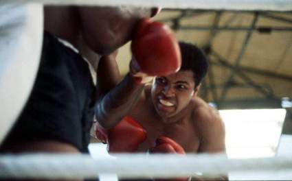 Muhammad Ali: Record & Career Highlights