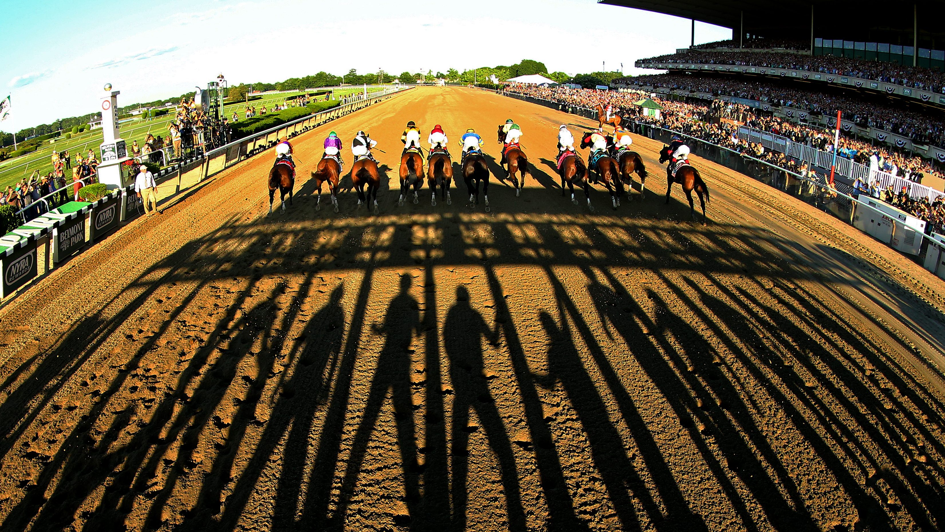 Belmont Stakes 2016 Betting Payouts for Win, Place & Show