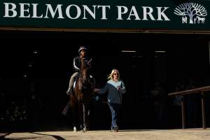 Belmont Stakes, live stream, watch online, app, nbc, where, how