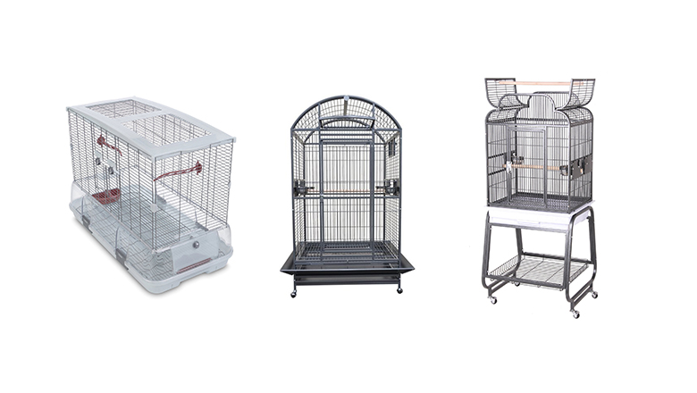 best parrot cages