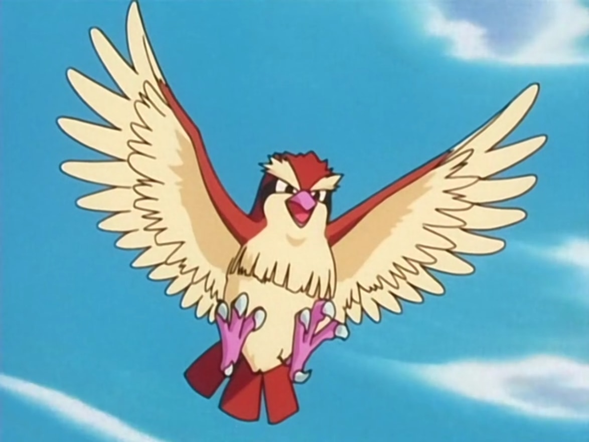 pidgey toy