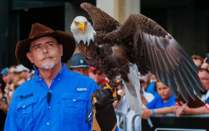WATCH: Bald Eagle Escapes From Dodger Stadium