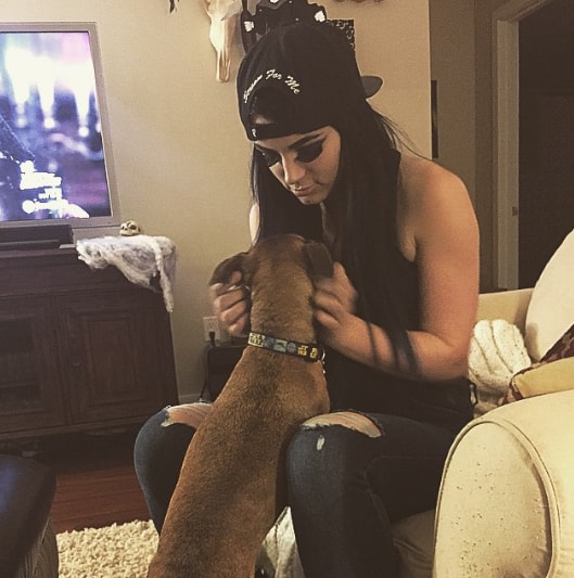 Paige is a big animal person, including three dogs named Goblin, Ludo and Sooki. Paige is seen her with Sooki, who she refers to as her little princess. (Instagram/Paige)