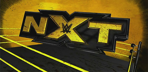 WWE NXT, NXT brand split, NXT 2016 draft