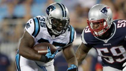 Steelers-Panthers Live Stream: How to Watch Online for Free