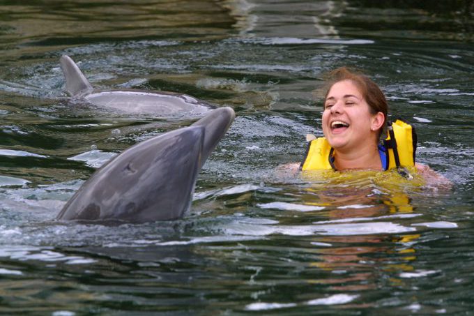 Swimming with Dolphins Ban: 5 Fast Facts You Need to Know | Heavy.com