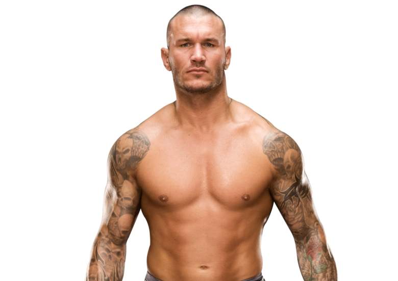 Randy Orton wwe, Randy Orton smackdown, Randy Orton concussion