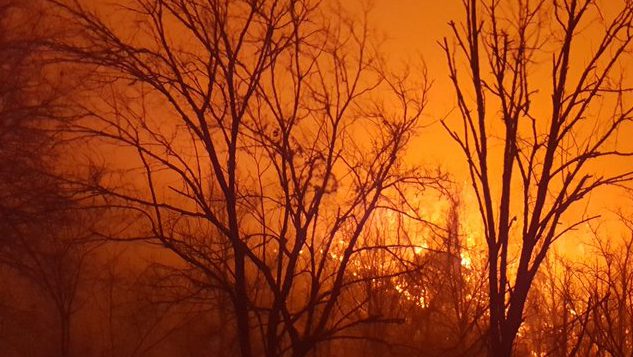 Gatlinburg wildfire, Tennessee wildfire