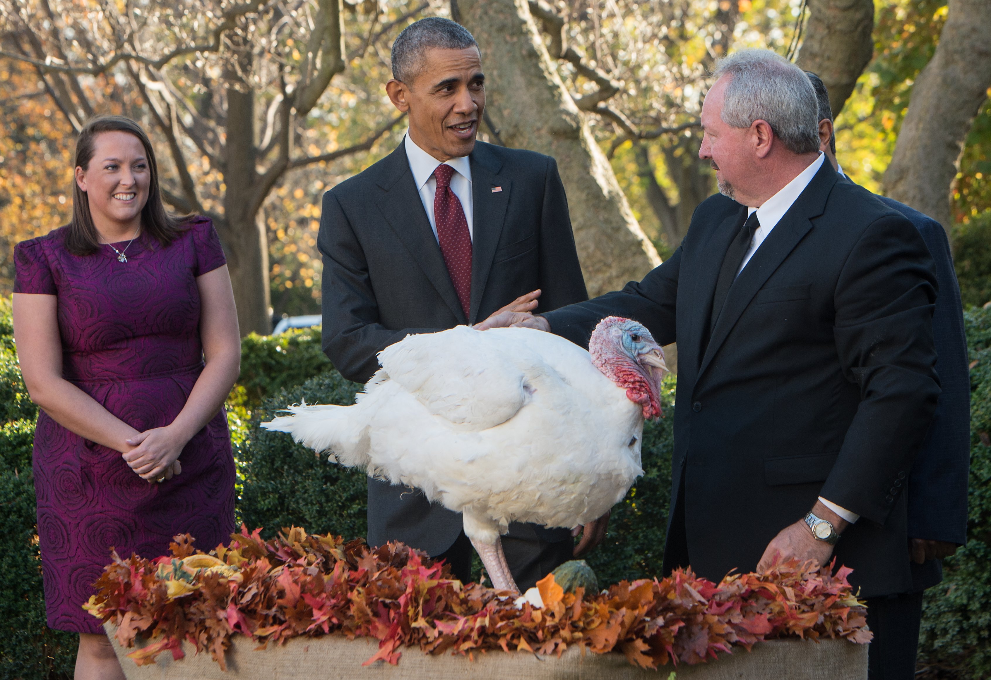 Presidential Turkey Pardon Ceremony: 5 Fast Facts