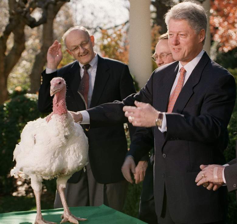 President Clinton Turkey Pardon, Turkey Pardon, Presidential Turkey Pardon