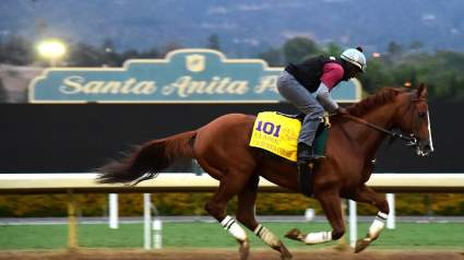 Breeders’ Cup Classic 2016 Purse & Prize Money Breakdown