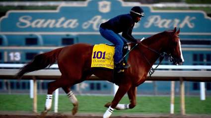 Breeders’ Cup 2016 Live Stream: How to Watch All Races Online