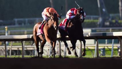 Breeders’ Cup 2016 Betting Payouts for Every Saturday Race