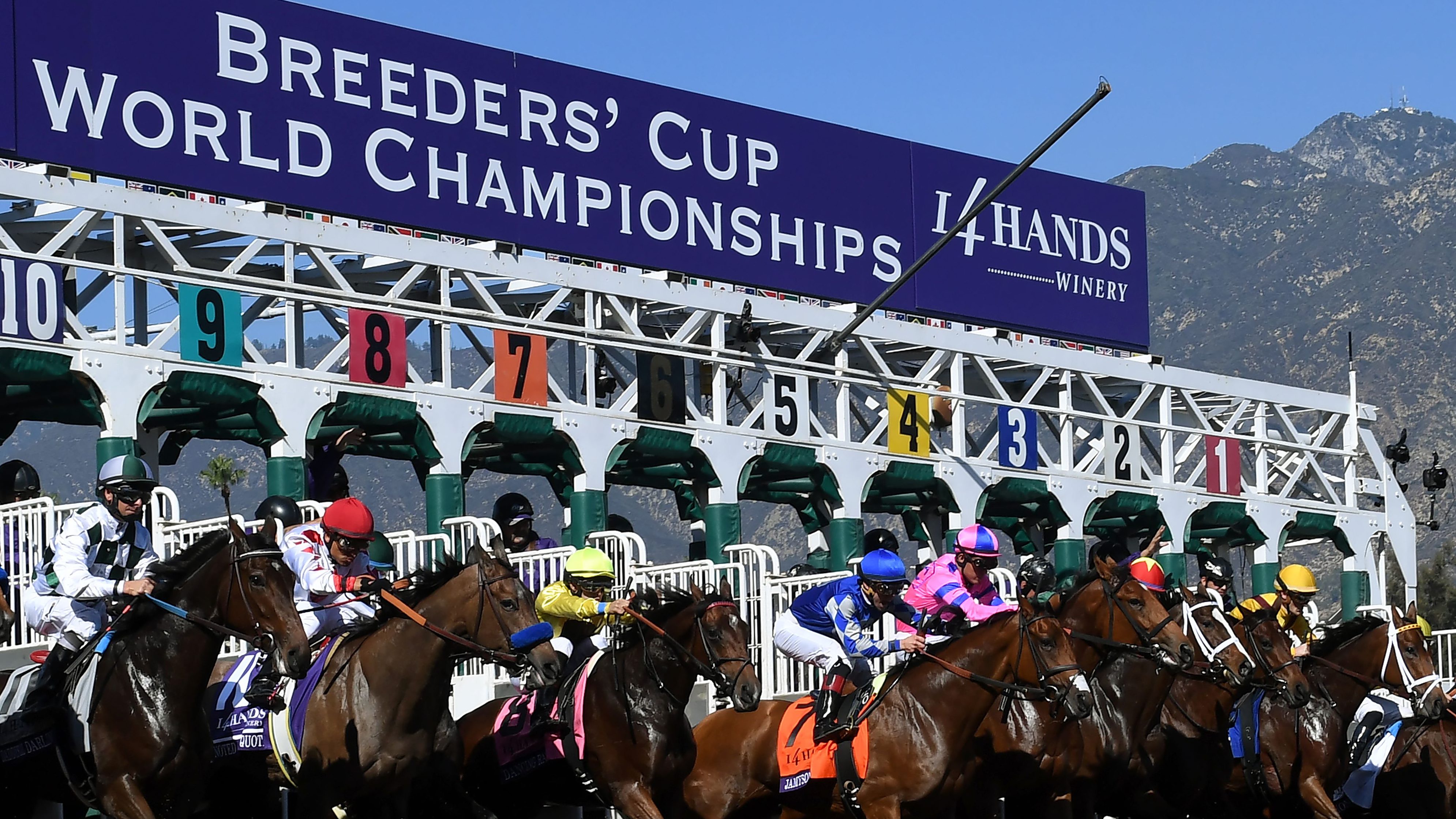 Breeders' Cup Classic Results Betting Payouts & Winner