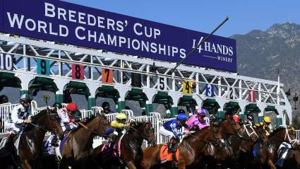 Breeders’ Cup Classic 2016 Results: Betting Payouts & Winner