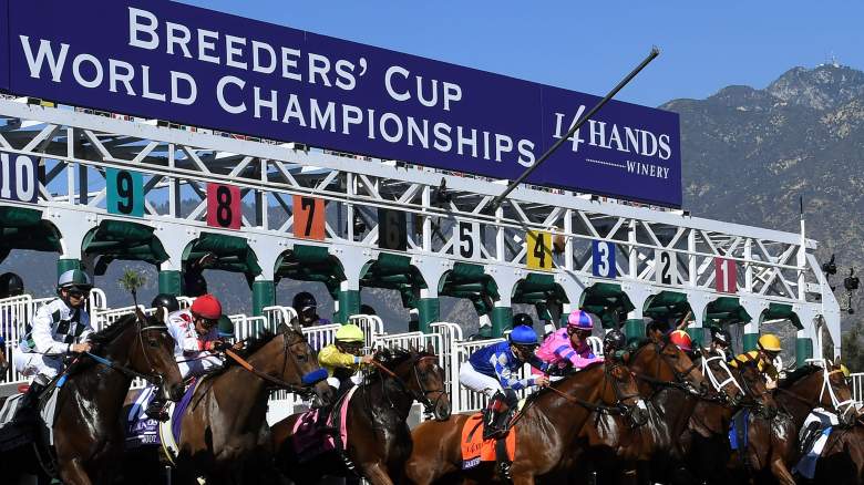 breeders cup results, breeders cup classic winner, breeders cup classic betting payouts, breeders cup classic win place show, breeders cup exacta, trifecta, superfecta