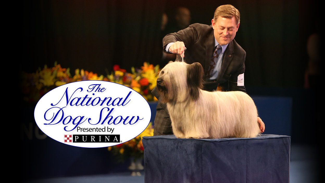 The National Dog Show What Time and Channel Does It Air?