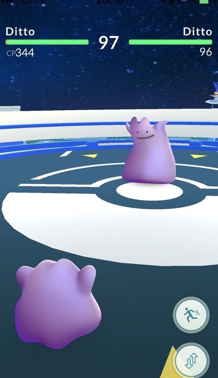 ditto fighting ditto