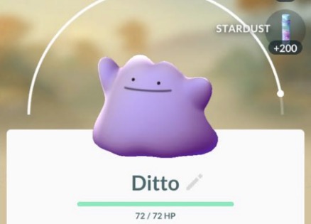 Ditto in battle