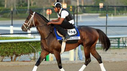 Pegasus World Cup 2017 Live Stream: How to Watch Online