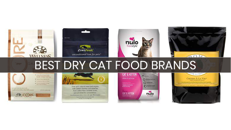 15 Best Dry Cat Food Brands Your Buyer’s Guide (2019)