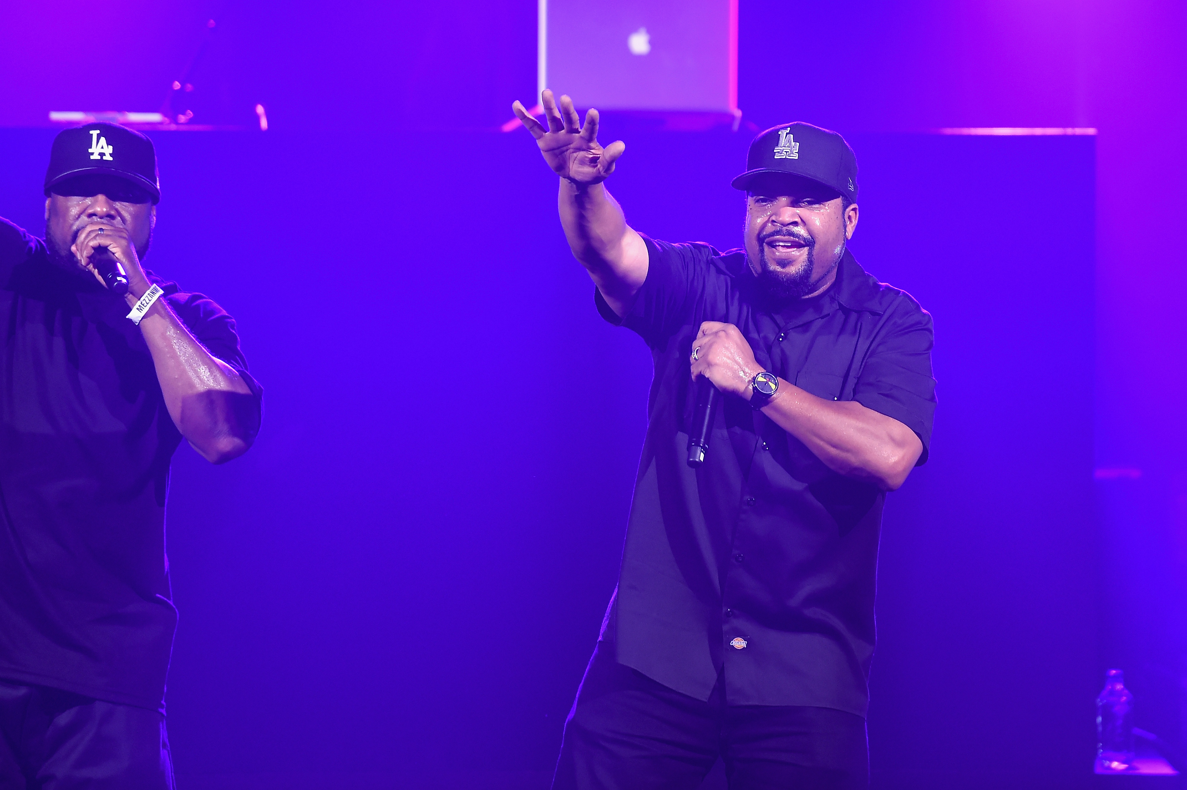 Ice Cube 5 Fast Facts You Need To Know 