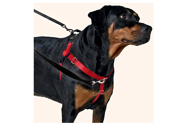 top 10 dog training collars