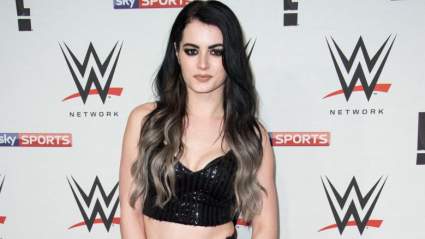 When Will Paige Return to WWE?