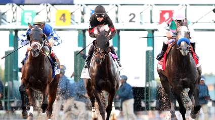 Dubai World Cup 2017: Post Time, TV Channel & Schedule of Races