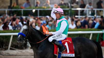 Dubai World Cup 2017 Live Stream: How to Watch Online