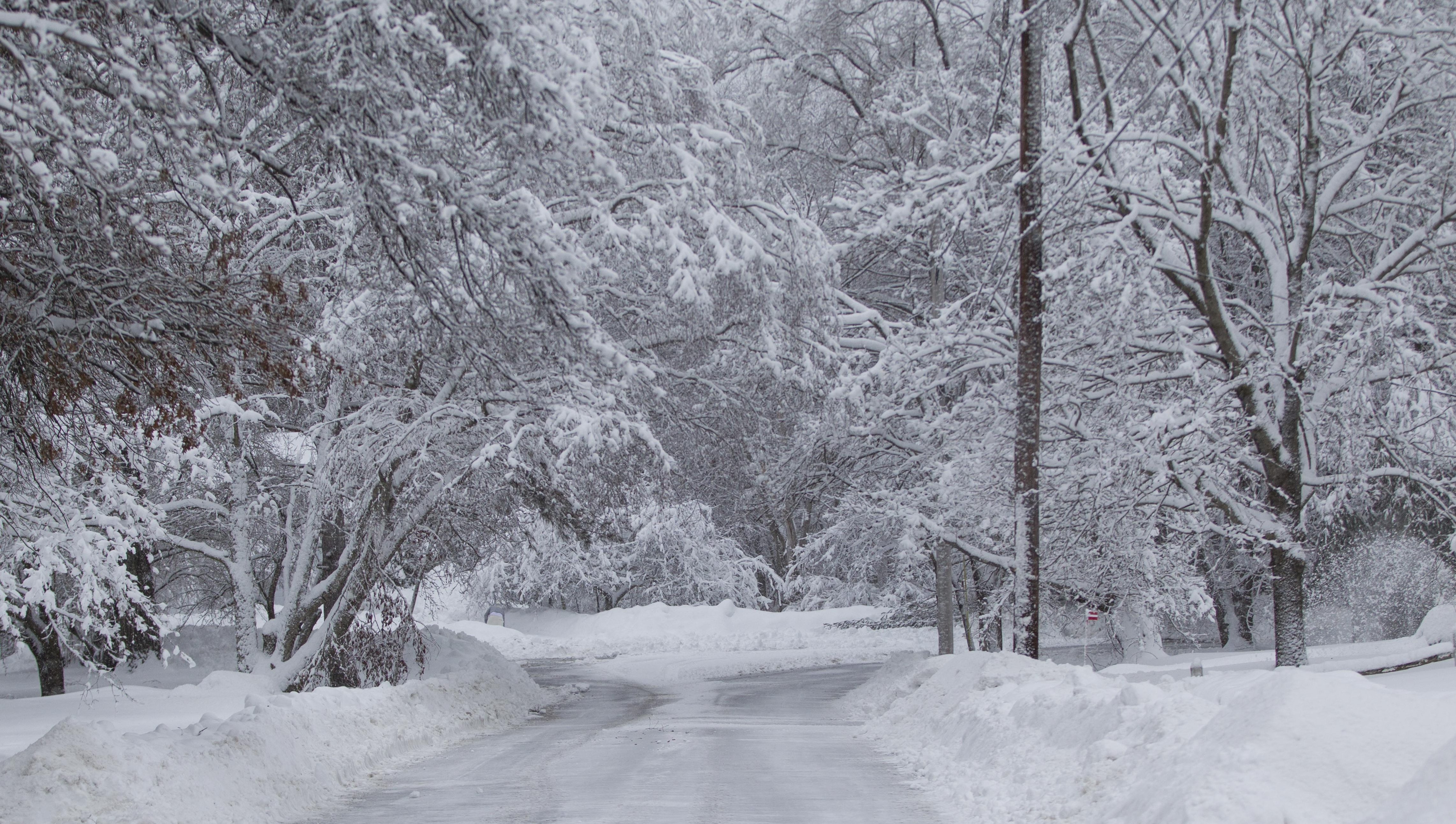 Michigan Snowfall Totals For Winter Storm Stella | Heavy.com