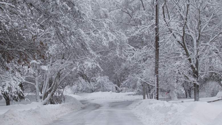 Massachusetts Snow Totals for Winter Storm Stella: Boston & Other ...